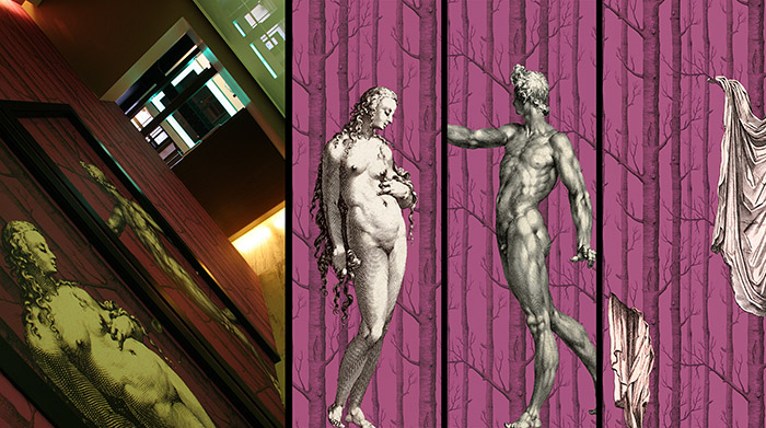 IMAGENES DECORACION CENTRO DE ESTETICA NEO CENTRO